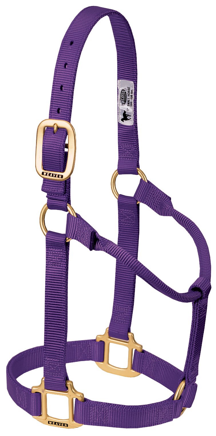 WEAVER Leather, Nicht verstellbares Halfter Violett Small Horse, Violett Small Horse