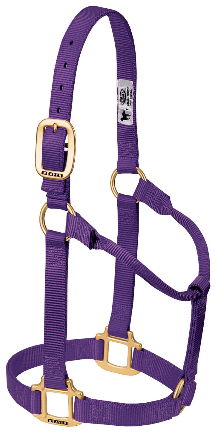 WEAVER Leather, Nicht verstellbares Halfter Violett Small Horse, Violett Small Horse
