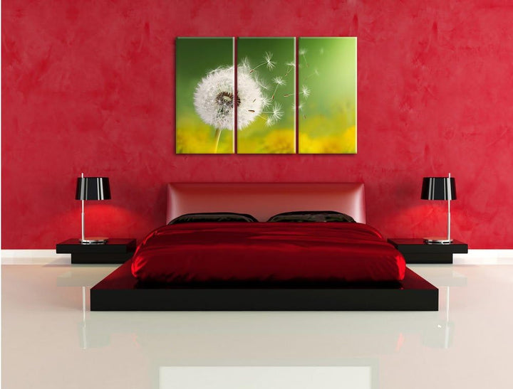 Pixxprint Löwenzahn Samen als Leinwandbild/Grösse: 3 Teilig (120x80) / Wandbild/Kunstdruck/fertig be