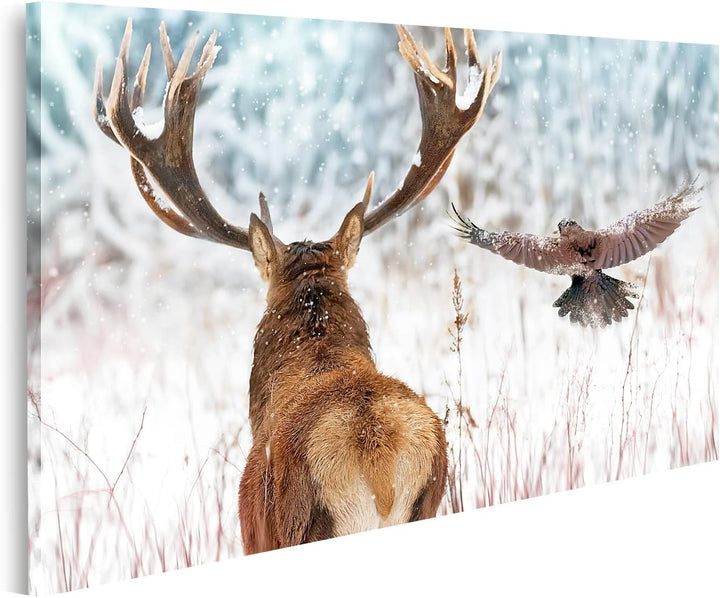 islandburner Bild auf Leinwand Edler Hirsch Grosse Hörner Rabe Flug Wintermärchen Wald Weihnachten W