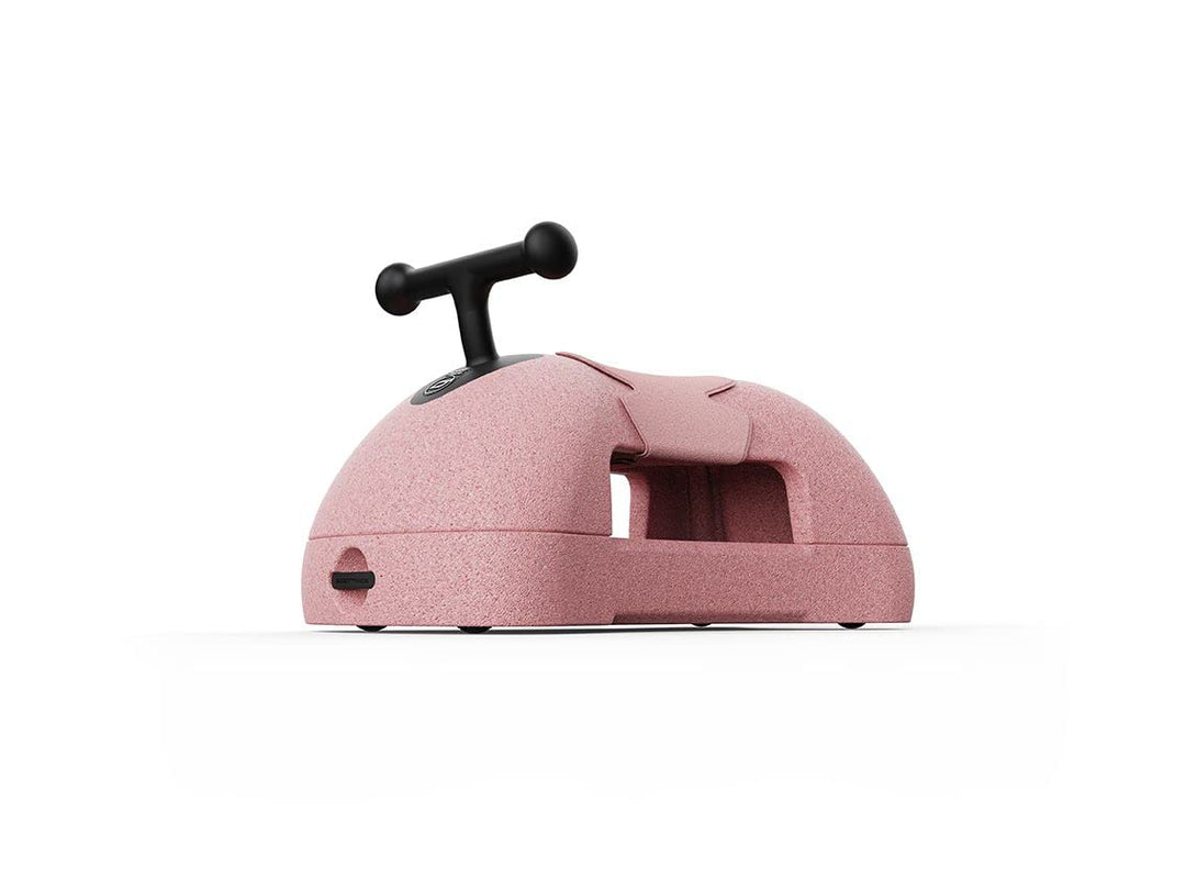 Scoot & Ride My First (Rose)-Babyrutscher, Babyroller, Babyrollbrett für +6 Monaten, Rose