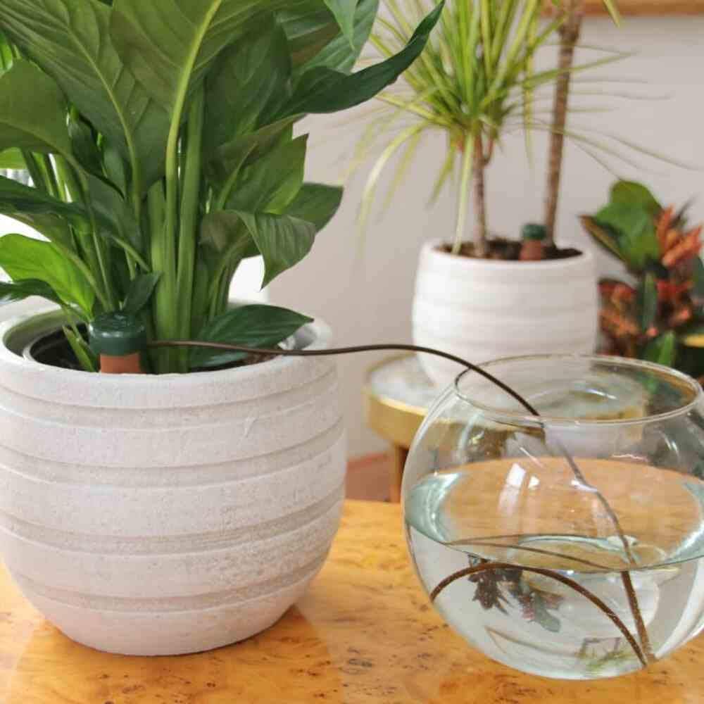 Blumat Wasserspender für Zimmerpflanzen, 6 Stück im Beutel, 6 Stück