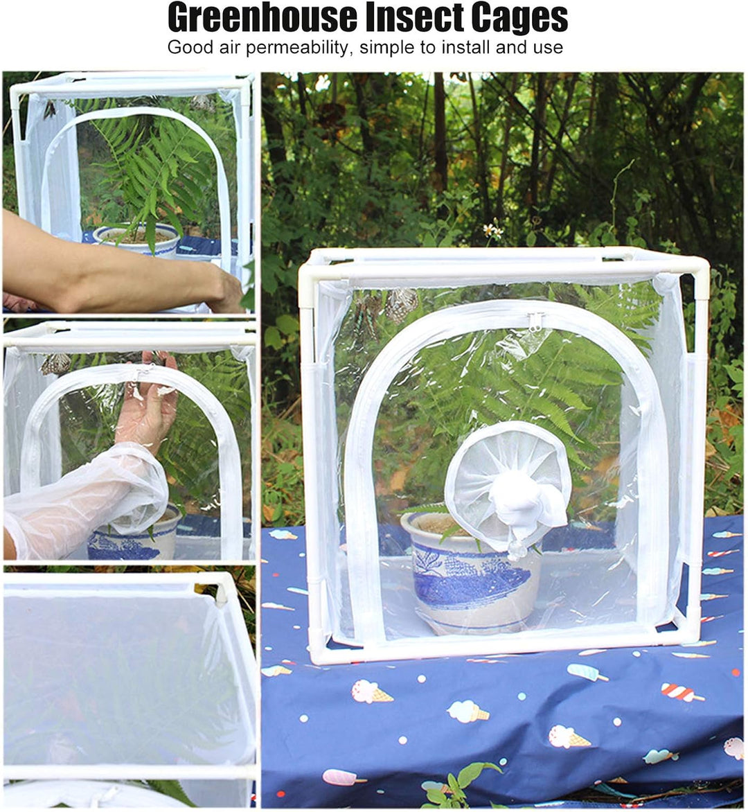 Insekten-Netzkäfig Gewächshaus Wiederverwendbare zusammenklappbare Mini-Pflanzenschmetterlinge Brutk