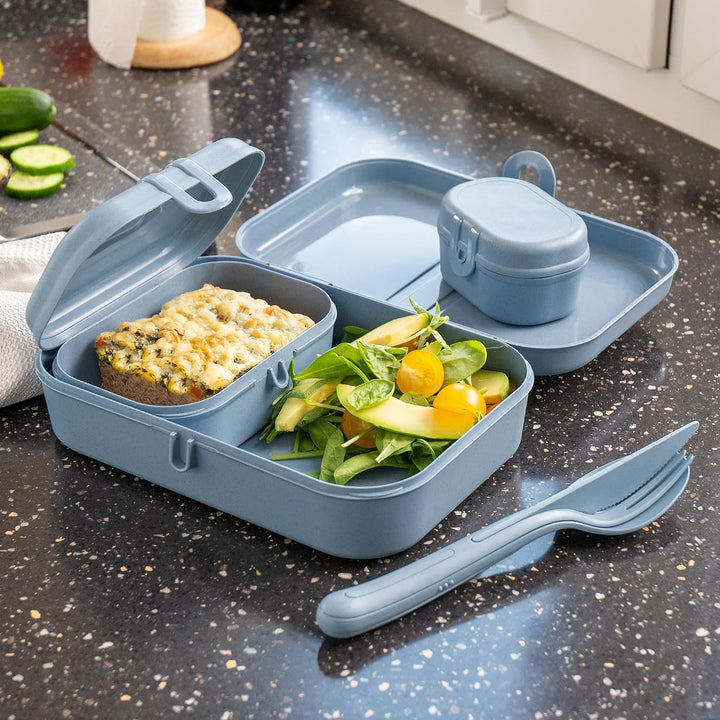 Koziol PASCAL L Lunchbox, Brotdose mit herausnehmbarem Trennsteg | mit Clipverschluss, robust, bruch