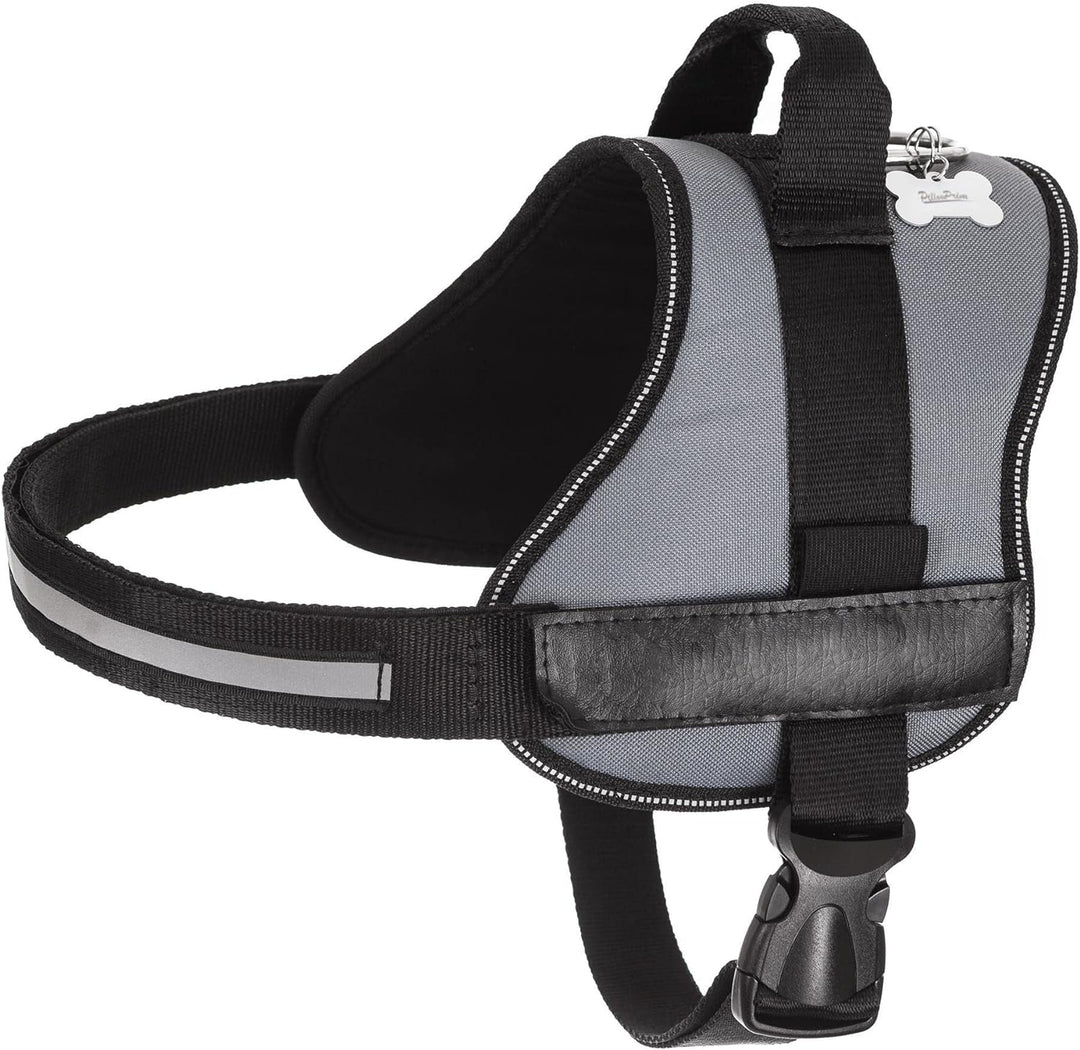 Geschirr für Hunde, Drucklos, Hundegeschirr, Reflektierend, Beschriftungen, R3: 57-70 cm, Asche R3: