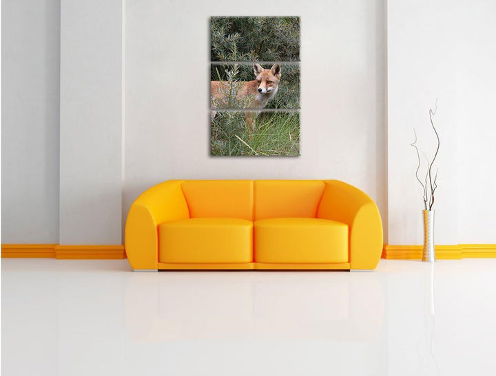 Pixxprint listiger Fuchs im Wildstrauch 3-Teiler Leinwandbild 120x80 Bild auf Leinwand, riesige Bild