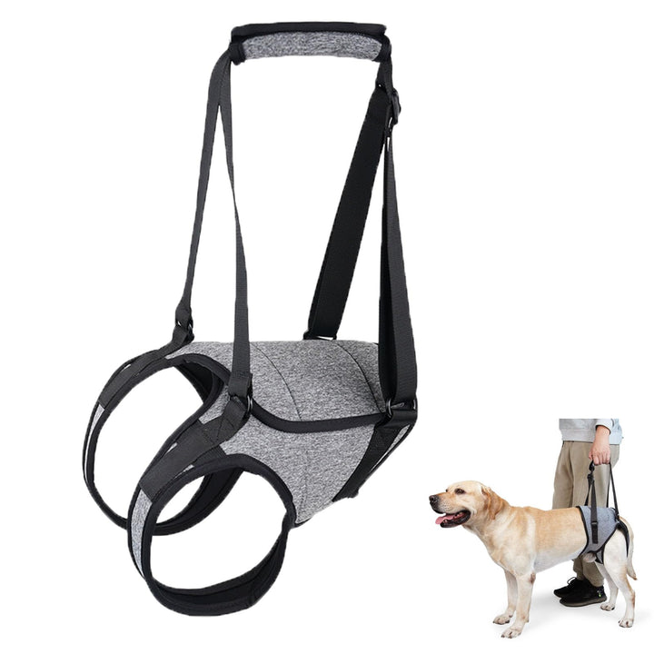 Tragehilfe Hund Gross, Tragehilfe Hund Hinterbein s, Dog Back Leg Support, Dog Carrying Aid, Verstel