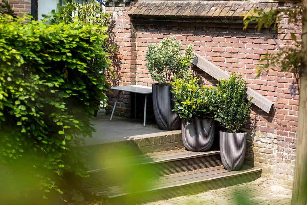 Capi Europe - Blumentopf Kugel Groove NL - 43x41 - Elfenbein - Öffnung Ø35 - Blumentopf für den Inne