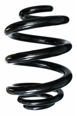 SPIDAN 85529 Fahrwerksfeder