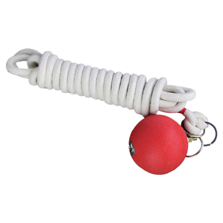Seil-Dart-Trainer, Gummi-gewichteter Ballseil, weiches Kampfsport-Trainingsgerät, benutzerfreundlich