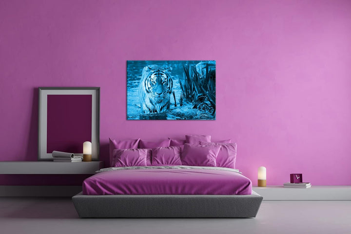 deyoli anmutiger Tiger im Wasser Format 80x60 Effekt: Monocrome Blau als Leinwandbild, Motiv fertig