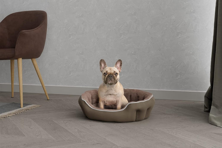 Sogni E Capricci Bett für Hunde und Katzen, Beige, 59 x 53 x 18 cm Beige 59x53x18cm COCCOLE, Beige 5