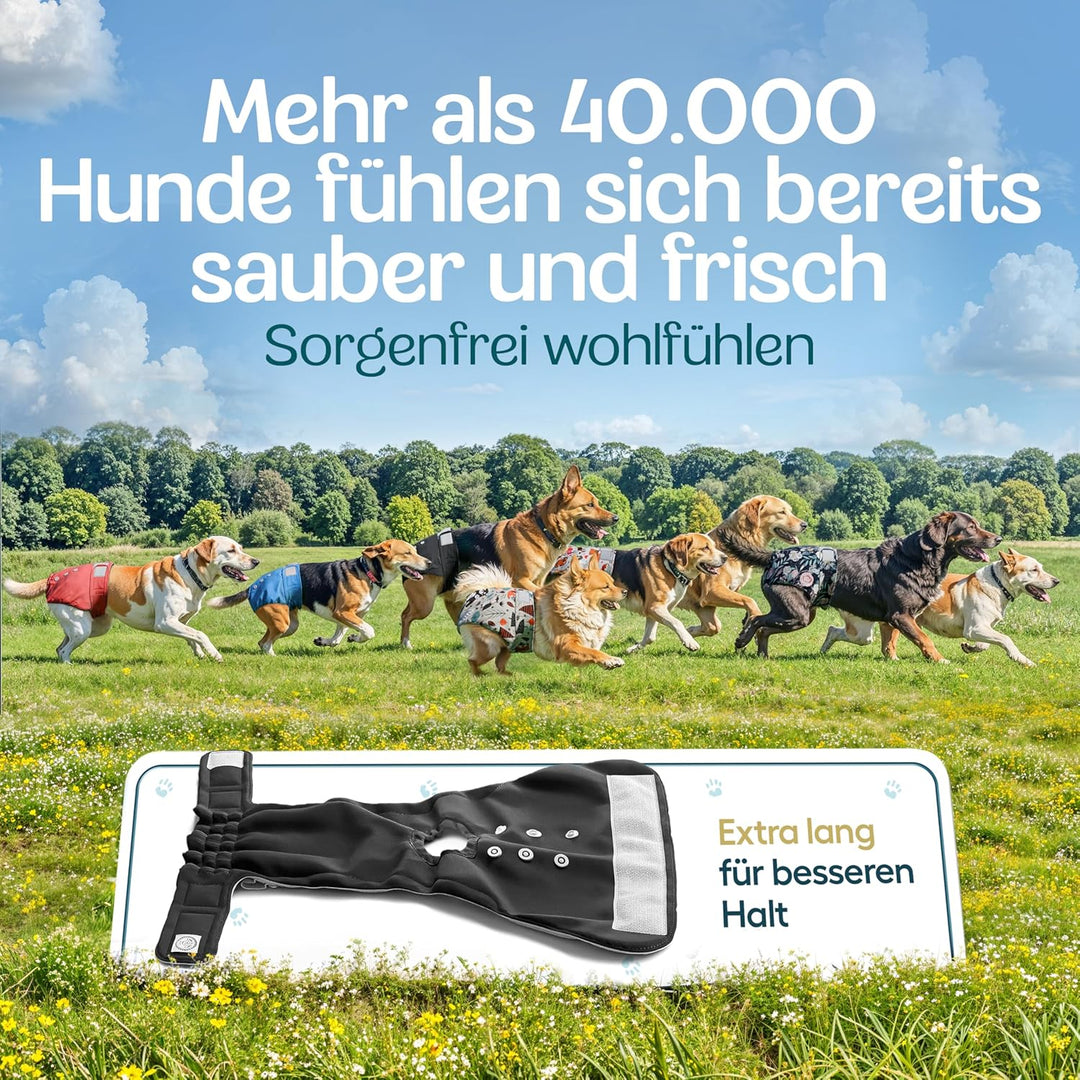 HUND IST KÖNIG® Hundewindeln für Hündinnen [3 STK] Saugstarke Läufigkeitshose für Hündinnen 3-Fach j
