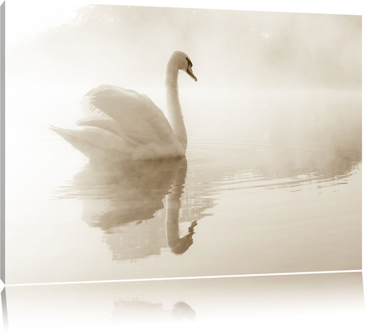 Weisser Schwan im Morgennebel Format: 100x70 auf Leinwand, XXL riesige Bilder fertig gerahmt mit Kei
