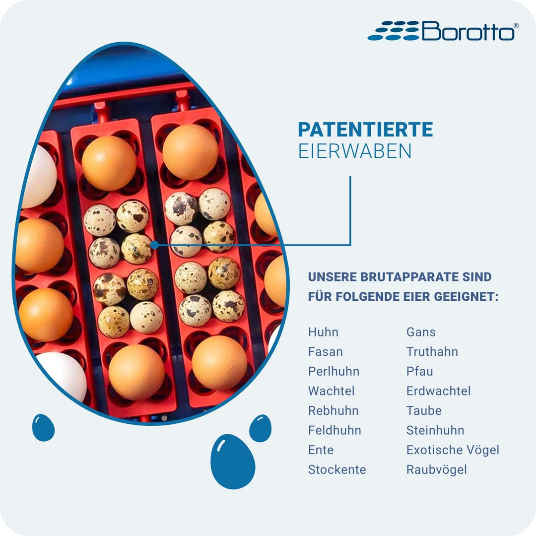 Borotto Lumia 16 | Brutautomat Vollautomatisch, Inkubator für 16 Eier oder 64 Kleine Eier mit Automa