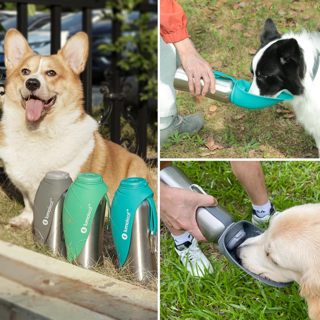 LumoLeaf Hundetrinkflasche für unterwegs, 800ml Edelstahl Trinkflasche Hund, Tragbare Haustier Wasse
