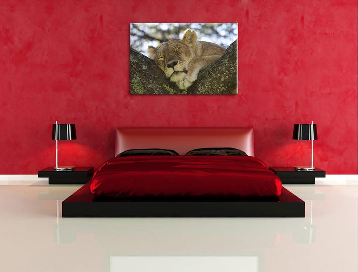 müde Löwin ruht auf Baum Leinwand, XXL riesige Bilder fertig gerahmt mit Keilrahmen, Kunstdruck auf
