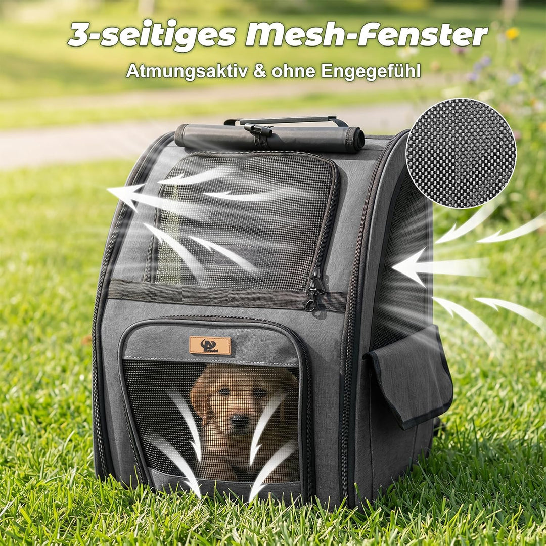 Aystkniet Katzenrucksack &amp; Hunderucksack bis 6kg, Grosse Haustier Transporttasche mit 270° Belüftung