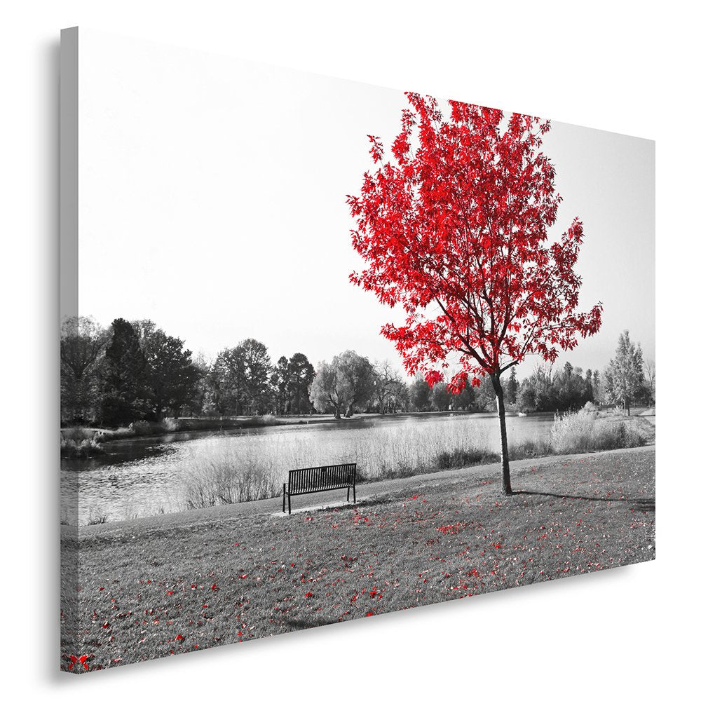 Feeby Frames, Leinwandbild, Bilder, Wand Bild, Wandbilder, Kunstdruck 50x70cm, PARK, GASSE, EINFARBI