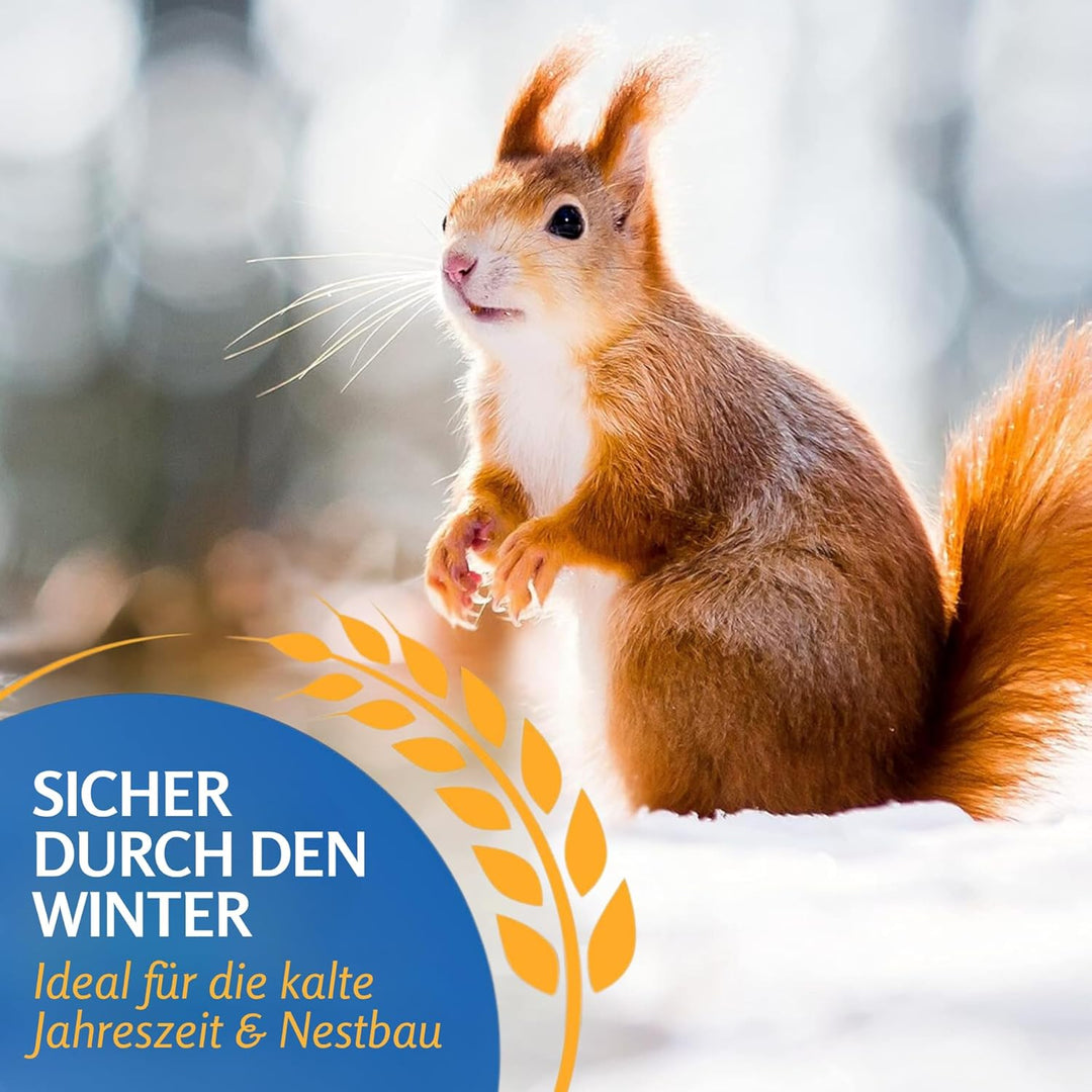 Leimüller Artgerechtes Eichhörnchenfutter Spezial 5 kg I Ganzjahres Futter für Eichhörnchen und Stre