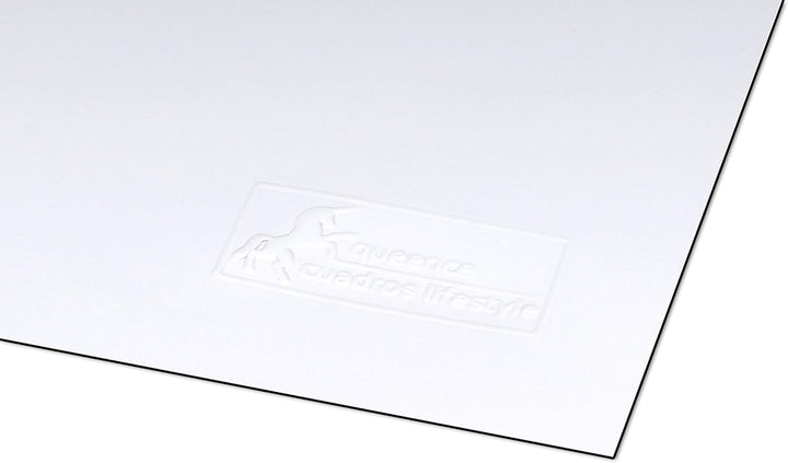 Queence Whiteboardfolie, 50 x 50 cm Magnetisch Selbstklebend inkl. Neodym-Magnete | Memoboard | Whit