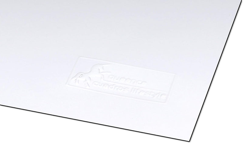 Queence Whiteboard Magnetisch 100x50 cm inkl. Neodym-Magnete | Selbstklebende Magnet Folie | Markerb