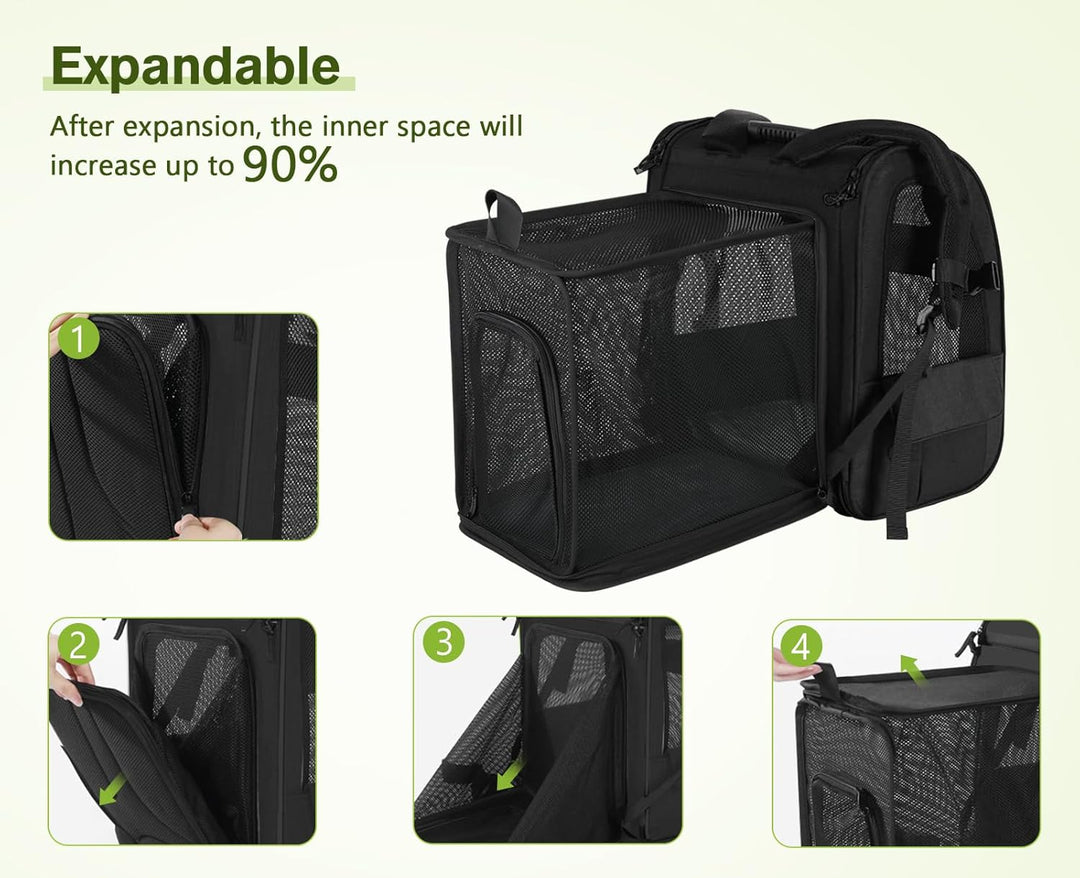 pecute Hunderucksack Erweiterbar XL für 6-10 kg, Faltbar Katzenrucksack Katzen mit Anti-offener Reis