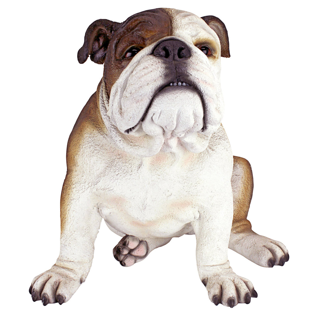 Design Toscano Buster die Bulldogge Britische Gartenstatue, Polyresin, vollfarbe, 40.5x35.5x35.5 cm,