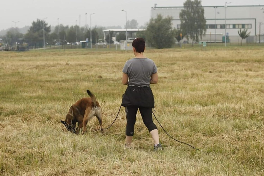 Dingo Gear Trainingsgürtel Arbeitskirt Schutzbekleidung Agility Trainer Helfer Ipo Sporthund XL Grün