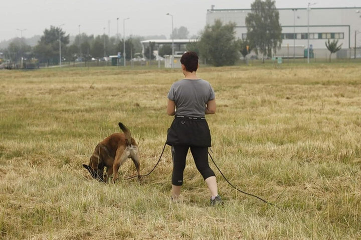 Dingo Gear Trainingsgürtel Arbeitskirt Schutzbekleidung Agility Trainer Helfer Ipo Sporthund XL Grün