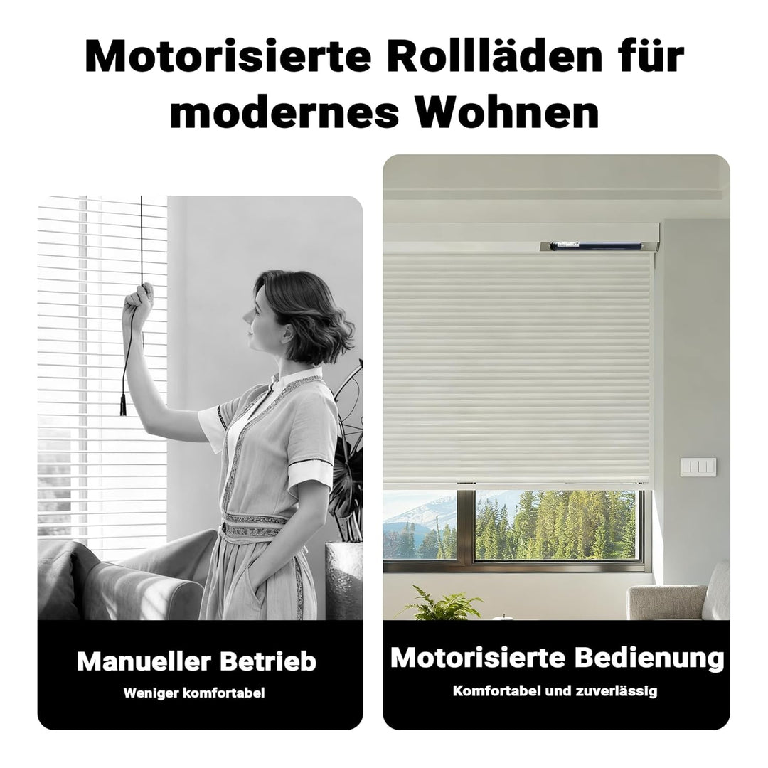 Wiltec Rollladenmotor 156W 20 Nm mit mechanischem Endabschalter & Schutzart IP44 SW60, Motor für ele