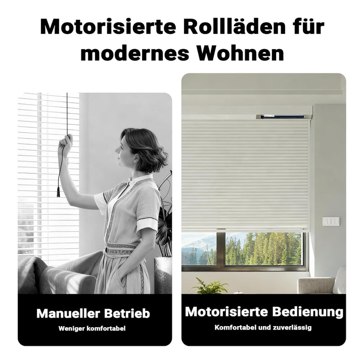 Wiltec Rollladenmotor 156W 20 Nm mit mechanischem Endabschalter & Schutzart IP44 SW60, Motor für ele