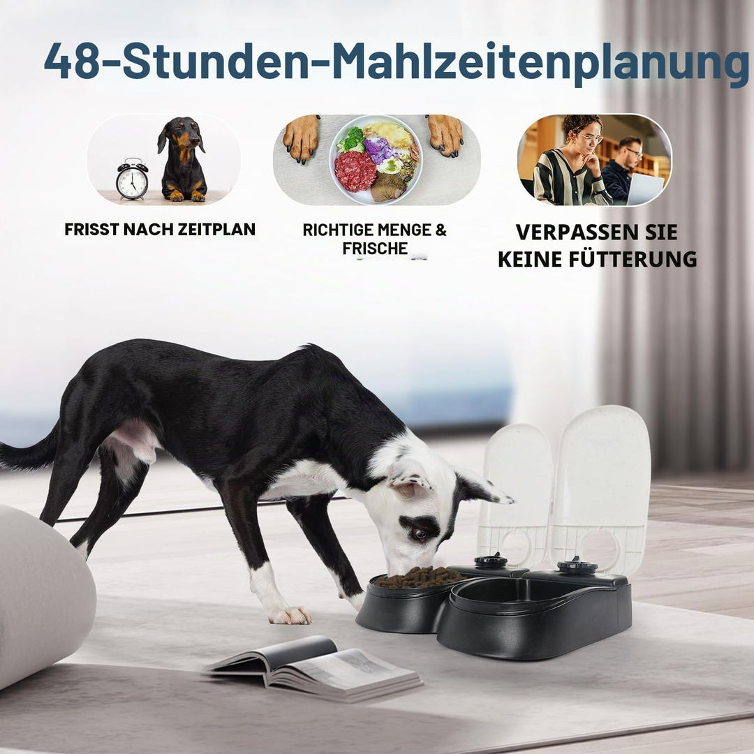 PAWISE Automatic Pet Feeder 300 ml Automatischer Futterspender für 48-Stunden-Planung für 2 Mahlzeit