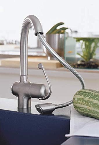 GROHE Auslaufbrause (Chromoberfläche- langlebig, hochglänzend und widerstandsfähig, Herstellergarant