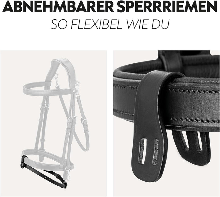 SUNRIDE englisch kombinierte Trense Berlin mit Zügel, aus weichem Echtleder mit Clip-Verschluss, ver