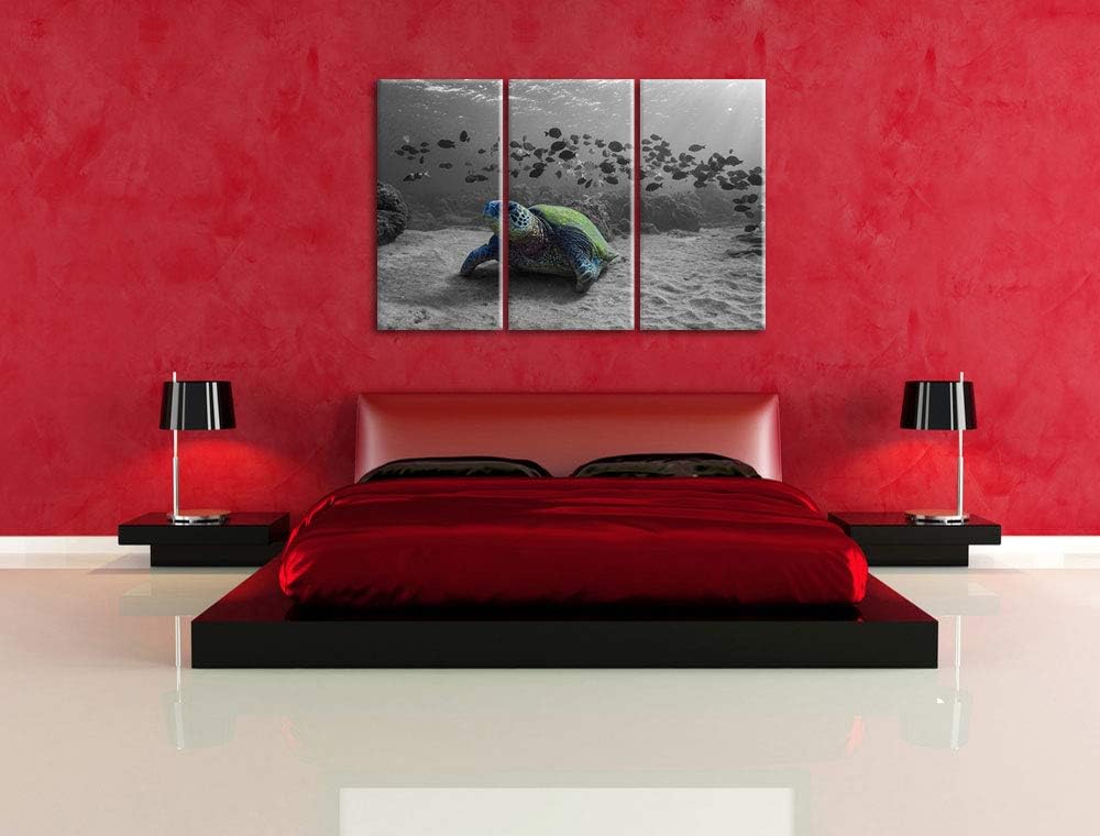 Pixxprint Schildkröte im Ozean als Leinwandbild | Grösse: 3 Teilig (120x80) | Wandbild| Kunstdruck |