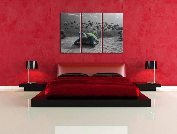 Pixxprint Schildkröte im Ozean als Leinwandbild | Grösse: 3 Teilig (120x80) | Wandbild| Kunstdruck |