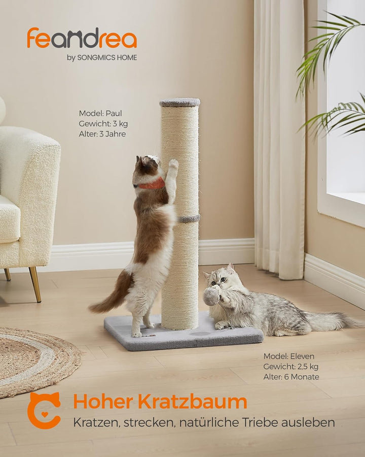 Feandrea Kratzbaum, 85 cm hoch, Kratzsäule XL, 13 cm Dicker Stamm, Katzenbaum, Kratzstamm für mittel