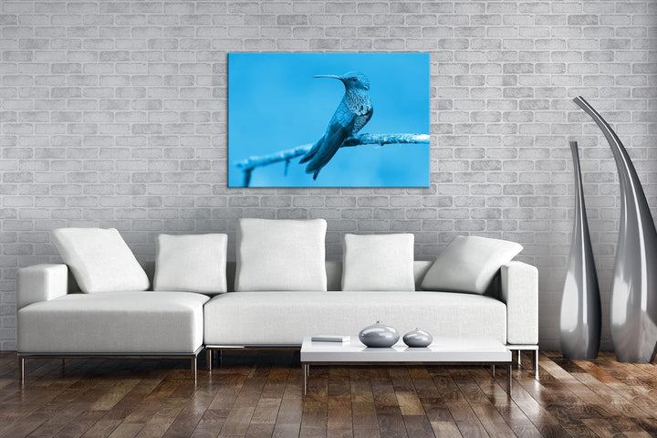 deyoli ruhig sitzender Kolibri Format 100x70 Effekt: Monocrome Blau als Leinwandbild, Motiv fertig g
