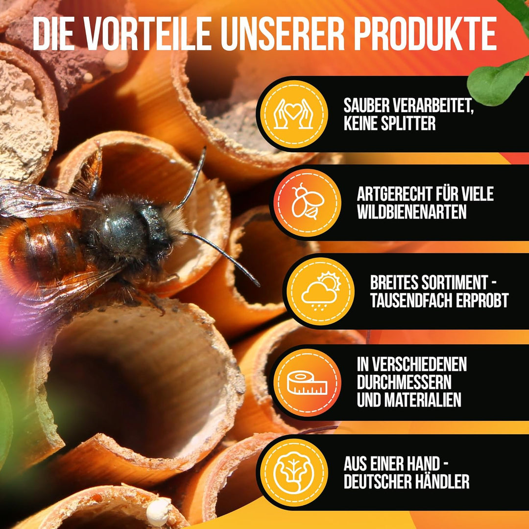 BEESI Lehmpulver für Wildbienen I Baumaterial, Füllmaterial für Bienenhotel und Insektenhotel I Vers