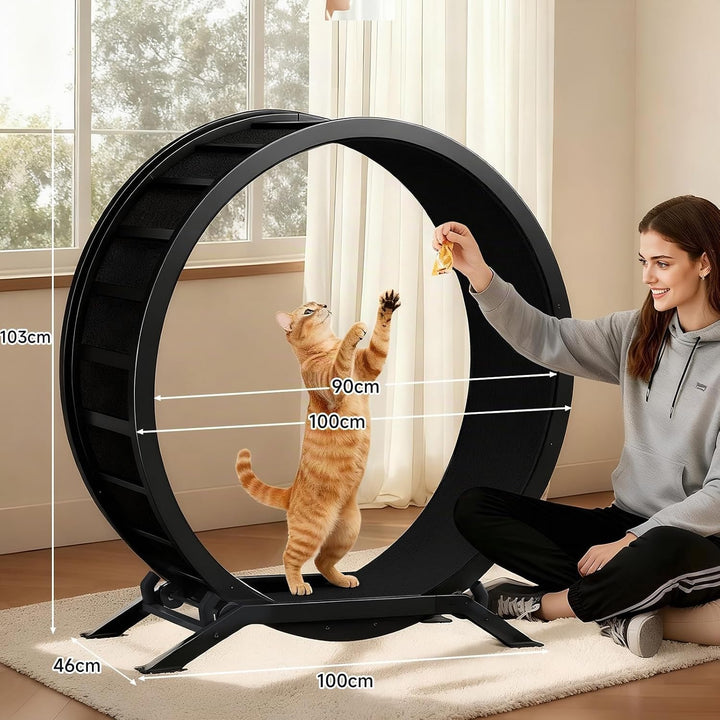 GTPLAYER Katzenlaufrad, laufrad Katze, Extra grosser 100 cm, ultraleises Laufrad mit Abnehmbarer Tep