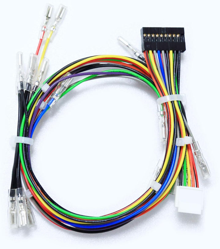 Brook Fighting Board Cable 20-Pin Joystick Harness DIY Builds mit 4-Pin Joystick Harness DIY Builds/