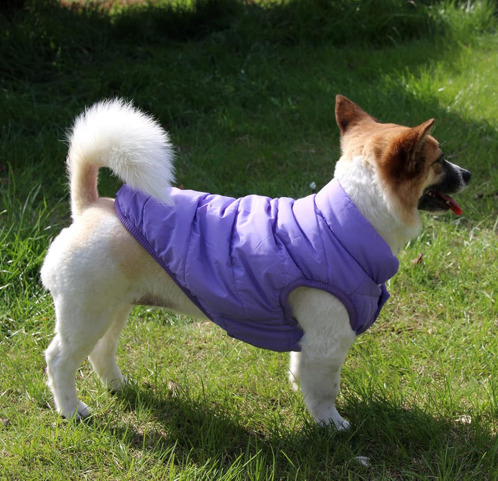 JoyDaog Fleece Hundejacke für Winter kaltes Wetter, Extra Weicher Hundemantel für Mittlere Hunde, Wi