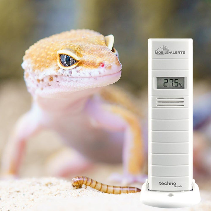 Technoline MA 10200 + Gateway Temperatur- und Luftfeuchteüberwachung von Terrarien/Gewächshäuser, We