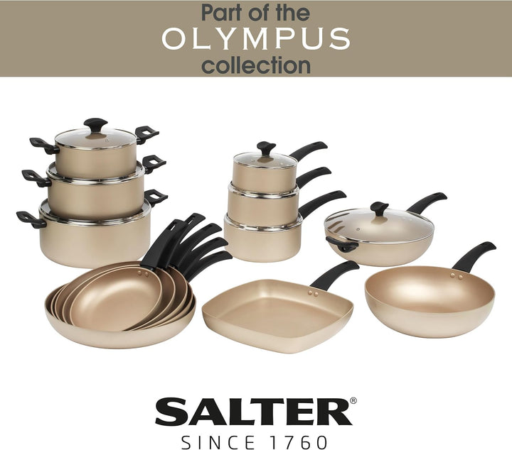 Salter BW11111EU7 Wokpfanne - Wok-Rührpfanne, Antihaftbeschichtung, stabiler Boden, Tief Bratpfanne,