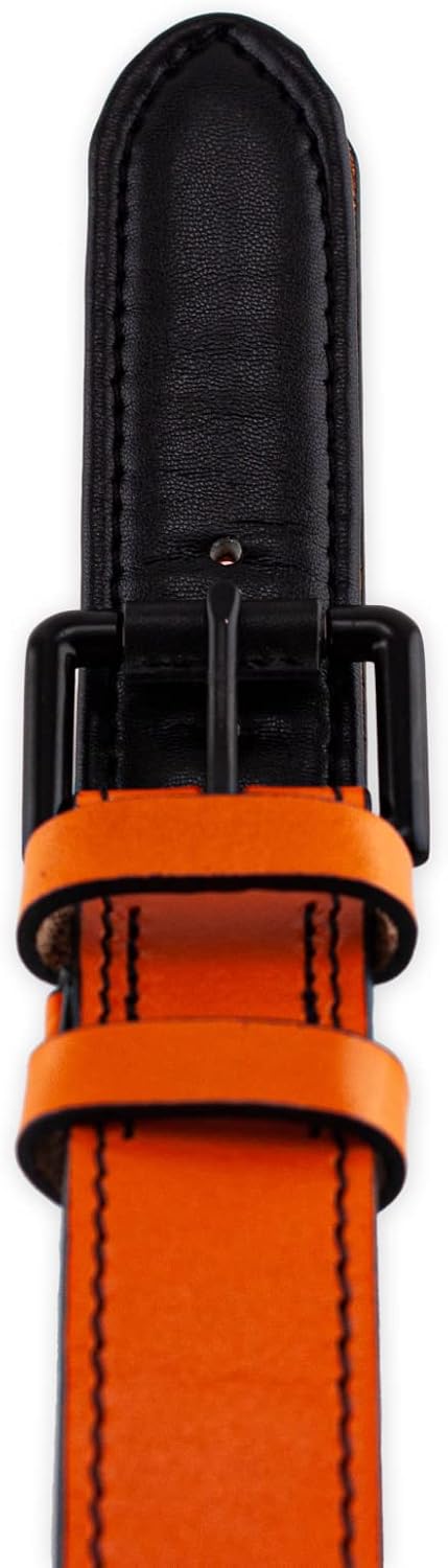 Brute Strength Hundehalsband aus Leder - Orange - XXL - 66-73 cm XXL - 66-73 cm Orange, XXL - 66-73