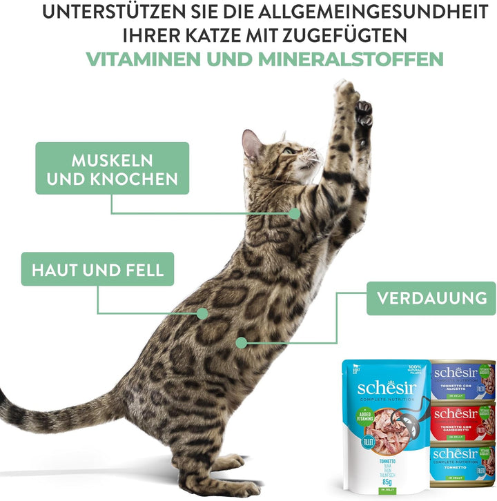 Schesir Cat Jelly Thunfisch mit Wolfsbarsch, Katzenfutter nass in Gelee, 8 x 6 Dosen x 50 g Thunfisc