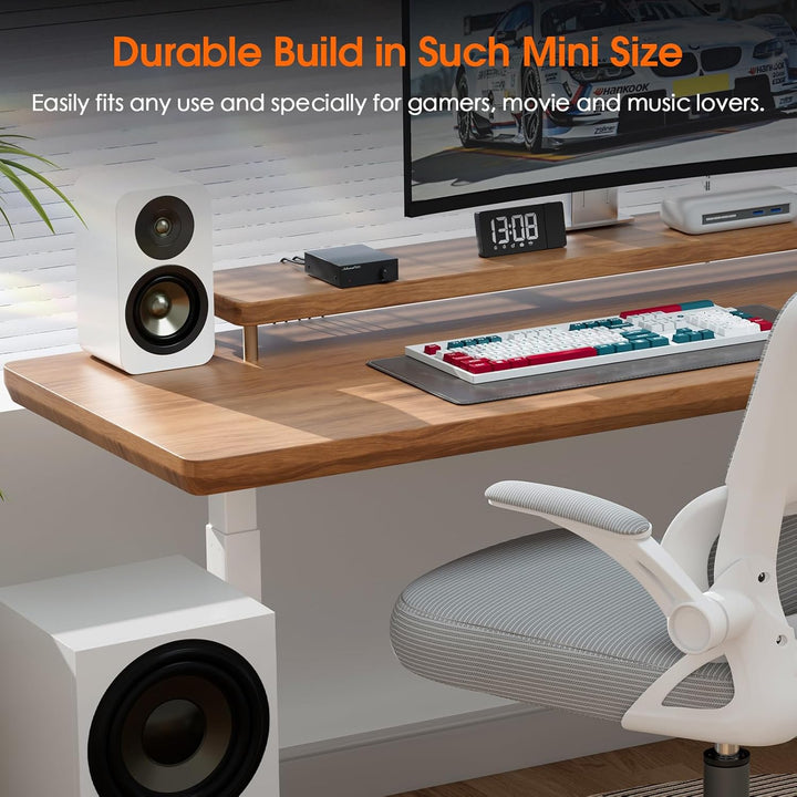 Nobsound Mini Mono Subwoofer Verstärker: 100W HiFi Verstärker mit TPA3116 & Tiefpassfilter für Heimk