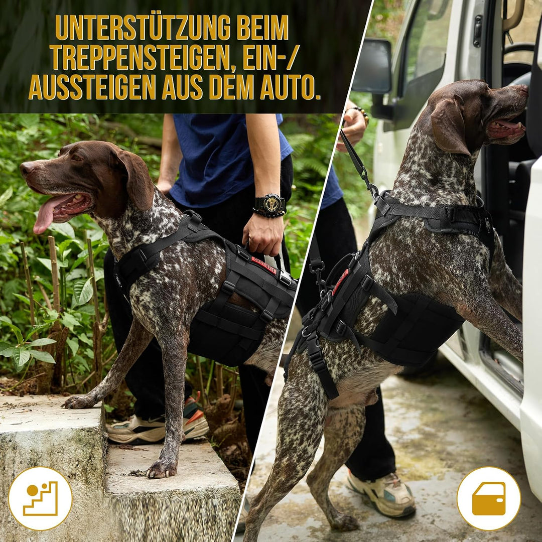 OneTigris Hundegeschirr, Invictus Hunde Tragehilfe für Mittelgrosse Grosse, Einstellbar Gehhilfe für