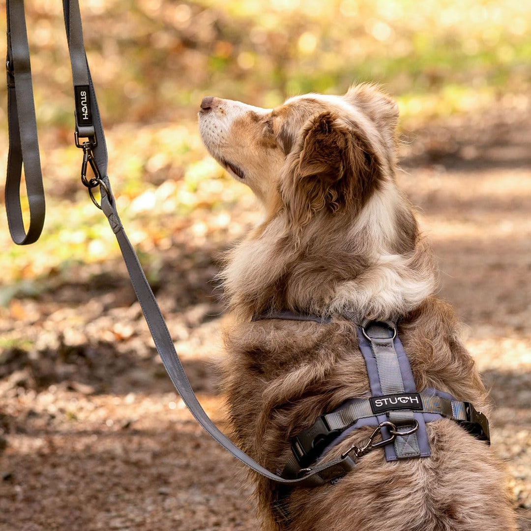 STUCH Hundegeschirr - verstellbares Nylon Geschirr - gepolstert - Für kleine, mittlere und grosse Hu